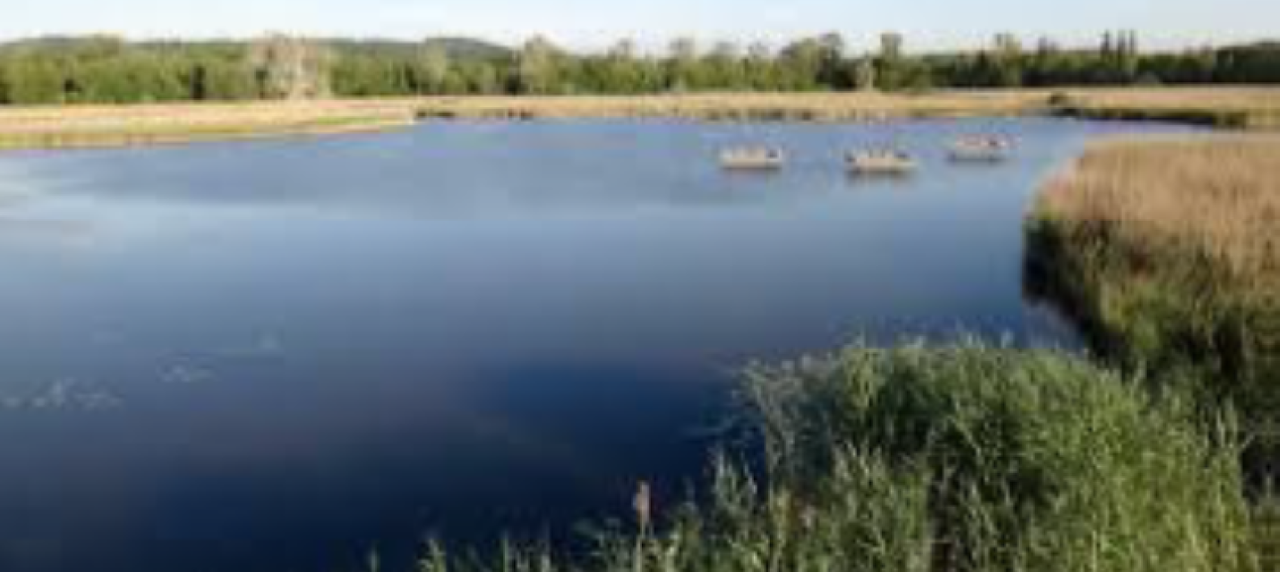 Naturschutzgebiet Fanel