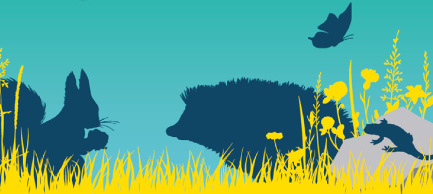 Wilde Nachbarn Appenzellerland