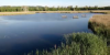 Naturschutzgebiet Fanel